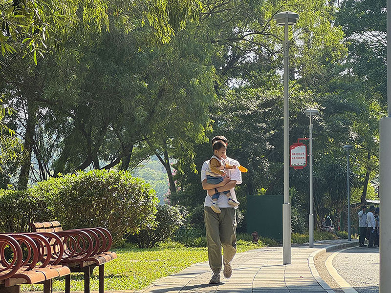 周末遛娃—东莞植物园